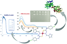 Graphical abstract: Mononuclear Pd(ii) and Pt(ii) complexes with an α-N-heterocyclic thiosemicarbazone: cytotoxicity, solution behaviour and interaction versus proven models from biological media