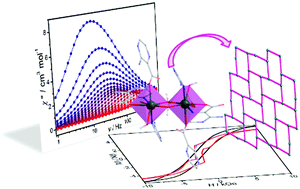 Graphical abstract: The influence of an external magnetic field and magnetic-site dilution on the magnetization dynamics of a coordination network based on ferromagnetic coupled dinuclear dysprosium(iii) units