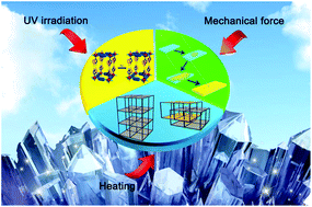 Graphical abstract: Liquid-free single-crystal to single-crystal transformations in coordination polymers