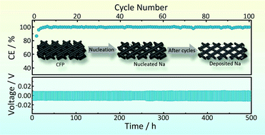 Graphical abstract: Achieving a stable Na metal anode with a 3D carbon fibre scaffold