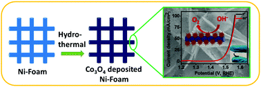 Graphical abstract: Flower-shaped cobalt oxide nano-structures as an efficient, flexible and stable electrocatalyst for the oxygen evolution reaction