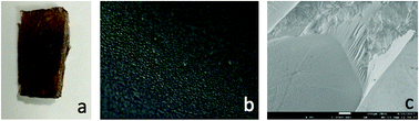 Graphical abstract: Biocomposites from the reinforcement of a tung oil-based thermosetting resin with collagen