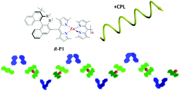 Graphical abstract: Amplification effect of circularly polarized luminescence induced from binaphthyl-based zinc(ii) chiral coordination polymers