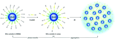 Graphical abstract: Remarkable water-soluble ZnO nanocrystals: from ‘click’ functionalization to a supramolecular aggregation enhanced emission phenomenon