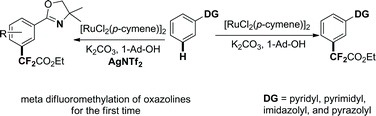 Graphical abstract: meta-Selective C–H difluoromethylation of various arenes with a versatile ruthenium catalyst
