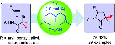 Graphical abstract: Highly efficient and versatile synthesis of α,α-difluoro-γ-lactams via aminodifluoroalkylation of alkenes