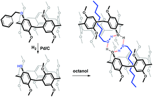 Graphical abstract: A new approach for the synthesis of mono- and A1/A2-dihydroxy-substituted pillar[5]arenes and their complexation with alkyl alcohols in solution and in the solid state