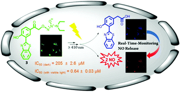 Graphical abstract: Synthesis and evaluation of novel O2-derived diazeniumdiolates as photochemical and real-time monitoring nitric oxide delivery agents