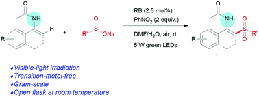 Graphical abstract: Transition-metal-free, visible-light-induced oxidative cross-coupling for constructing β-acetylamino acrylosulfones from sodium sulfinates and enamides