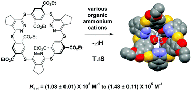 Graphical abstract: Understanding the driving force for the molecular recognition of S6-corona[3]arene[3]pyridazine toward organic ammonium cations