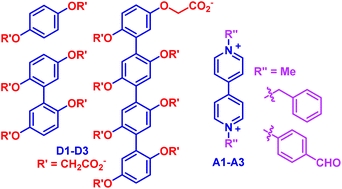 Graphical abstract: Ion-pair electrostatic attraction-enhanced donor–acceptor interactions between the prototypic 1,4-dialkoxybenzene-viologen binding mode in water