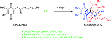 Graphical abstract: Biomimetic total synthesis of homodimericin A