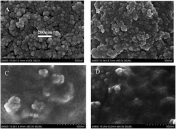 Graphical abstract: Visible-light-activated photoelectrochemical biosensor for the detection of the pesticide acetochlor in vegetables and fruit based on its inhibition of glucose oxidase