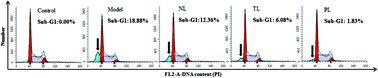 Graphical abstract: Protective effects of lipid extract from brains of silver carp against oxidative damage in HEK-293 cells