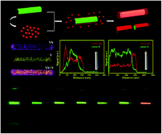 Graphical abstract: Hexagonal β-Na(Y,Yb)F4 based core/shell nanorods: epitaxial growth, enhanced and tailored up-conversion emission