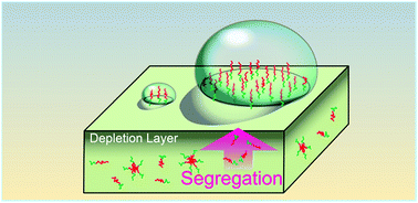 Graphical abstract: Dynamic contact angle on a reconstructive polymer surface by segregation