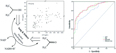 Graphical abstract: Exhaled isopropanol: new potential biomarker in diabetic breathomics and its metabolic correlations with acetone
