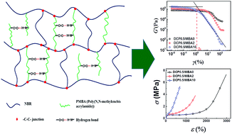 Graphical abstract: Rheology of nitrile rubber with hybrid crosslinked network composed of covalent bonding and hydrogen bonding