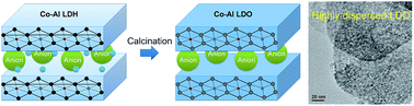 Graphical abstract: Highly dispersed CoOx in layered double oxides for oxidative dehydrogenation of propane: guest–host interactions