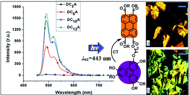 Graphical abstract: Synthesis and investigation on liquid crystal and optical properties of dyads based on triphenylene and perylene