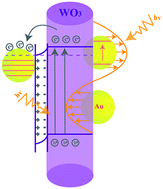 Graphical abstract: Enhanced photoelectrochemical performance of tungsten oxide film by bifunctional Au nanoparticles