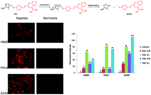 Graphical abstract: Selective turn-on near-infrared fluorescence probe for hypoxic tumor cell imaging