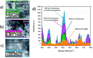 Graphical abstract: A primary SERS-active interconnected Si-nanocore network for biomolecule detection with plasmonic nanosatellites as a secondary boosting mechanism