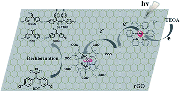 Graphical abstract: Significant enhancement of visible light photocatalytic activity of the hybrid B12-PIL/rGO in the presence of Ru(bpy)32+ for DDT dehalogenation