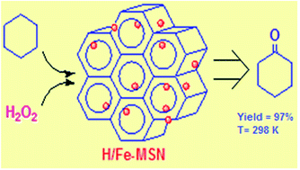 Graphical abstract: Novel protonated Fe-containing mesoporous silica nanoparticle catalyst: excellent performance cyclohexane oxidation