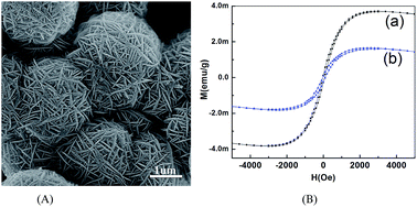 Graphical abstract: Ferromagnetic behavior of non-stoichiometric ZnS microspheres with a nanoplate-netted surface