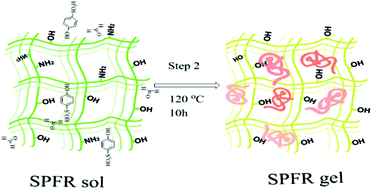 Graphical abstract: p-Hydroxybenzenesulfonic acid–formaldehyde solid acid resin for the conversion of fructose and glucose to 5-hydroxymethylfurfural