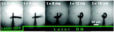 Graphical abstract: Light activated non-reciprocal motion in liquid crystalline networks by designed microactuator architecture