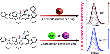 Graphical abstract: Spirolactam capped cyanine dyes for designing NIR probes to target multiple metal ions