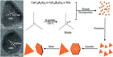 Graphical abstract: Colloidal synthesis and magnetic properties of anisotropic-shaped spinel CuCr2Se4 nanocrystals