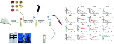 Graphical abstract: Comparative intestinal bacteria-associated pharmacokinetics of 16 components of Shengjiang Xiexin decoction between normal rats and rats with irinotecan hydrochloride (CPT-11)-induced gastrointestinal toxicity in vitro using salting-out sample preparation and LC-MS/MS
