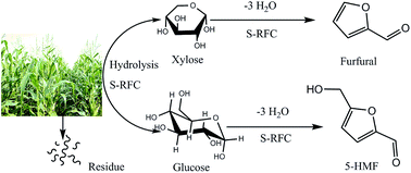 Graphical abstract: Production of furfural from xylose and corn stover catalyzed by a novel porous carbon solid acid in γ-valerolactone
