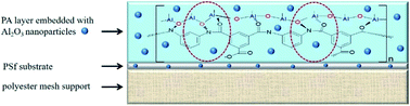 Graphical abstract: Highly permeable and stable forward osmosis (FO) membrane based on the incorporation of Al2O3 nanoparticles into both substrate and polyamide active layer