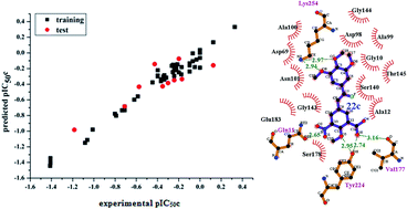 Graphical abstract: Identification of potential tubulin polymerization inhibitors by 3D-QSAR, molecular docking and molecular dynamics