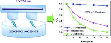 Graphical abstract: Kinetics and mechanistic investigation into the degradation of naproxen by a UV/chlorine process