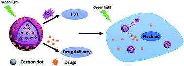 Graphical abstract: A multifunctional nanoplatform based on mesoporous silica nanoparticles for imaging-guided chemo/photodynamic synergetic therapy