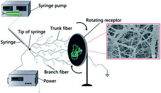 Graphical abstract: Designing waterproof breathable material with moisture unidirectional transport characteristics based on a TPU/TBAC tree-like and TPU nanofiber double-layer membrane fabricated by electrospinning