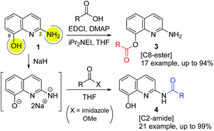 Graphical abstract: Chemoselective acylation of 2-amino-8-quinolinol in the generation of C2-amides or C8-esters
