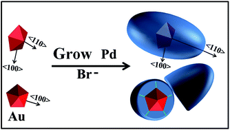 Graphical abstract: Rational selection of halide ions for synthesizing highly active Au@Pd nanobipyramids