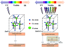Graphical abstract: Multi-band visible photoresponse study of Co2+ doped ZnO nanoparticles