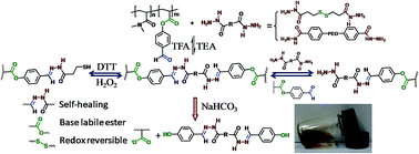 Graphical abstract: Self-healable hydrogels with NaHCO3 degradability and a reversible gel–sol–gel transition from phenolic ester containing polymers