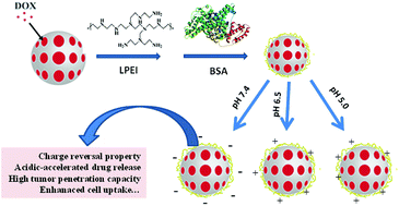 Graphical abstract: pH sensitive mesoporous nanohybrids with charge-reversal properties for anticancer drug delivery