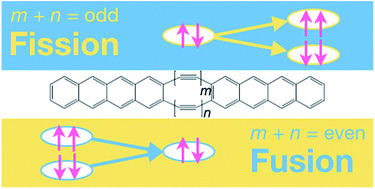 Graphical abstract: Rational design of doubly-bridged chromophores for singlet fission and triplet–triplet annihilation