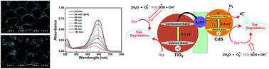 Graphical abstract: 3D macroporous TiO2 inverse opal binary and ternary composite materials and their photocatalytic activity