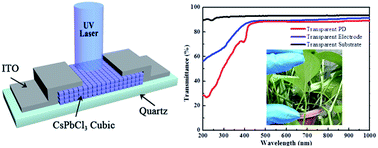 Graphical abstract: High-performance transparent ultraviolet photodetectors based on inorganic perovskite CsPbCl3 nanocrystals