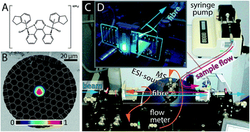 Graphical abstract: Rapid screening of photoactivatable metallodrugs: photonic crystal fibre microflow reactor coupled to ESI mass spectrometry